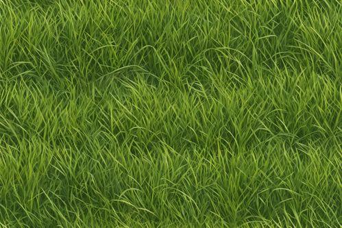 国产精品嫩草影院88AV,88AV带你领略嫩草影院的魅力